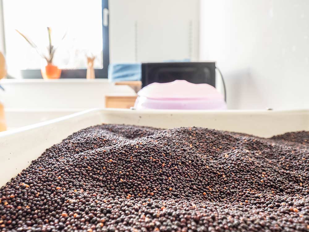 ergomeile - Behandlungsraum 5